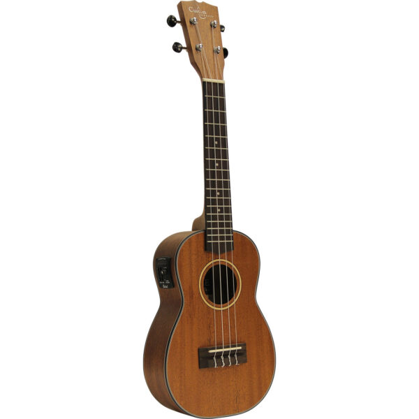 f8de385532d69d3b46167213a64ac9ab1459485765.jpg Custom Acoustic UC5E